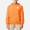 Men Collegiate Flanker™ Fleece Hoodie – Clemson