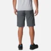 Men Silver Ridge™ Cargo Shorts